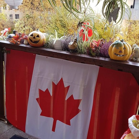 Meet your Posher, Brigitte - Picture 1 of 1